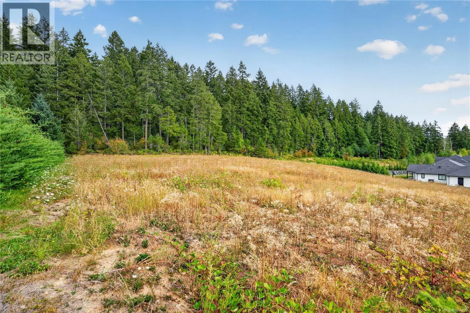 Lot 3 Chase Dr
