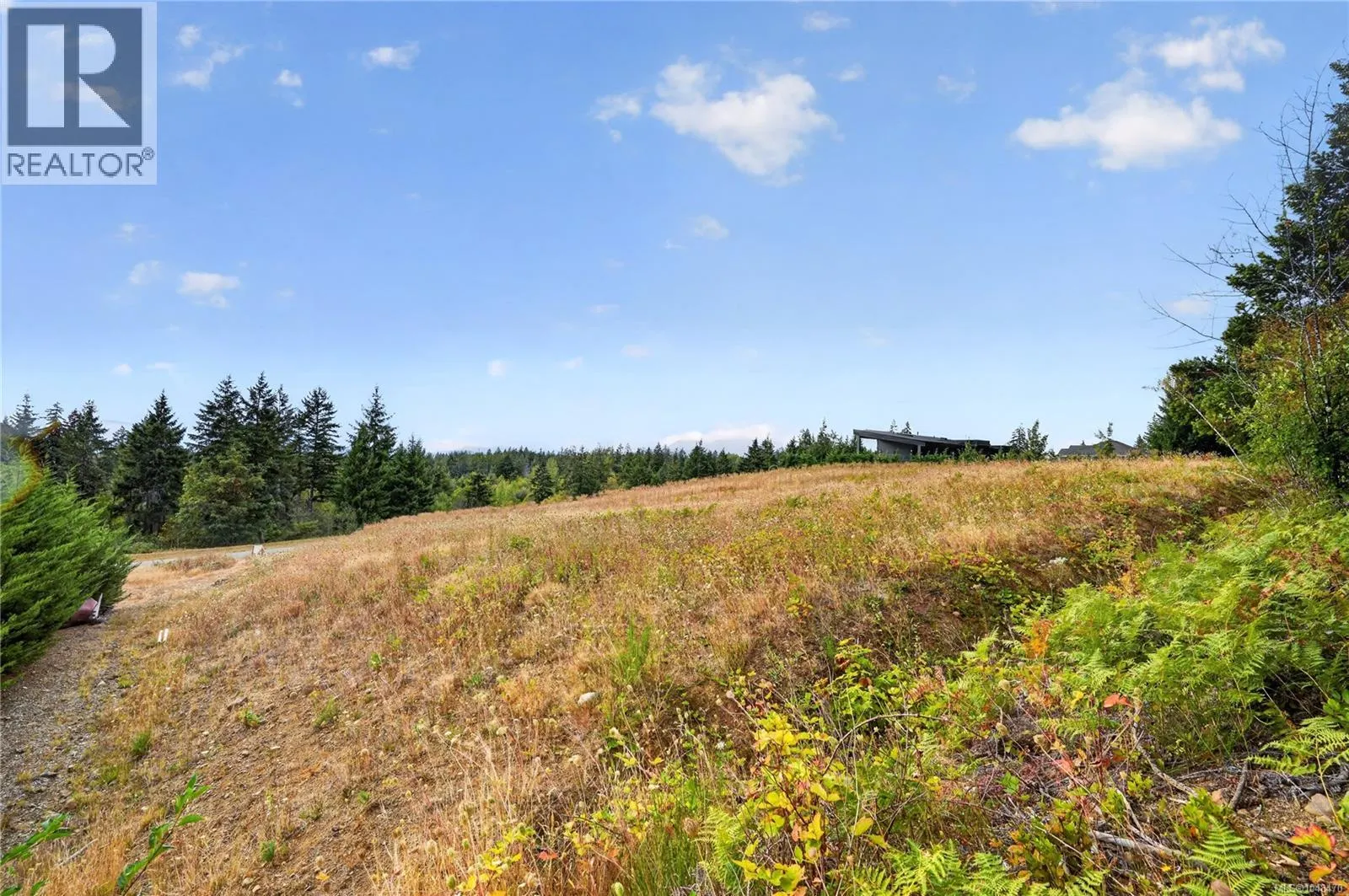 Lot 3 Chase Dr