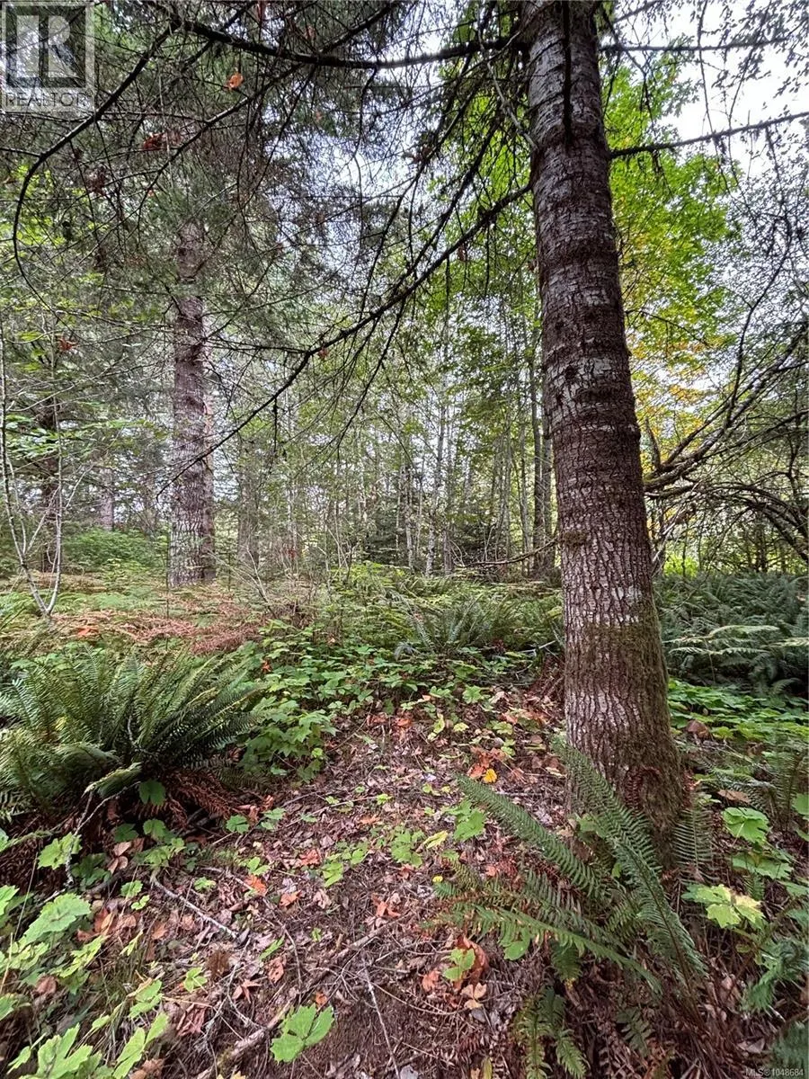 lot 23 Pratt Rd