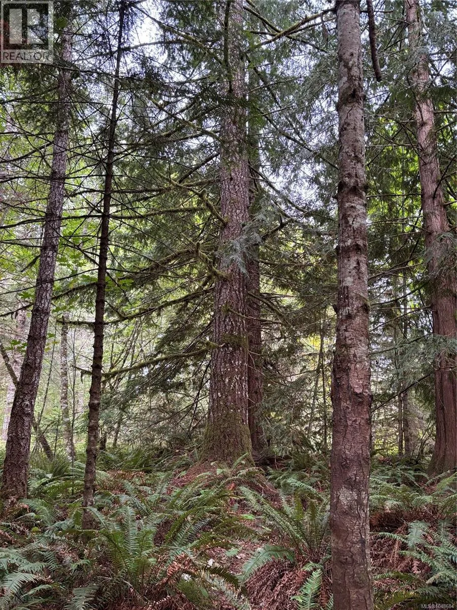lot 23 Pratt Rd