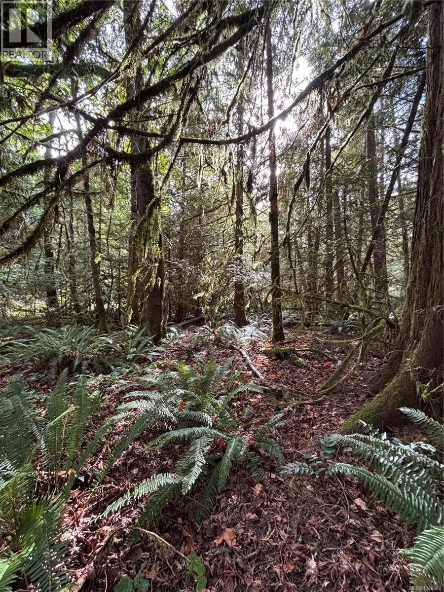 lot 23 Pratt Rd