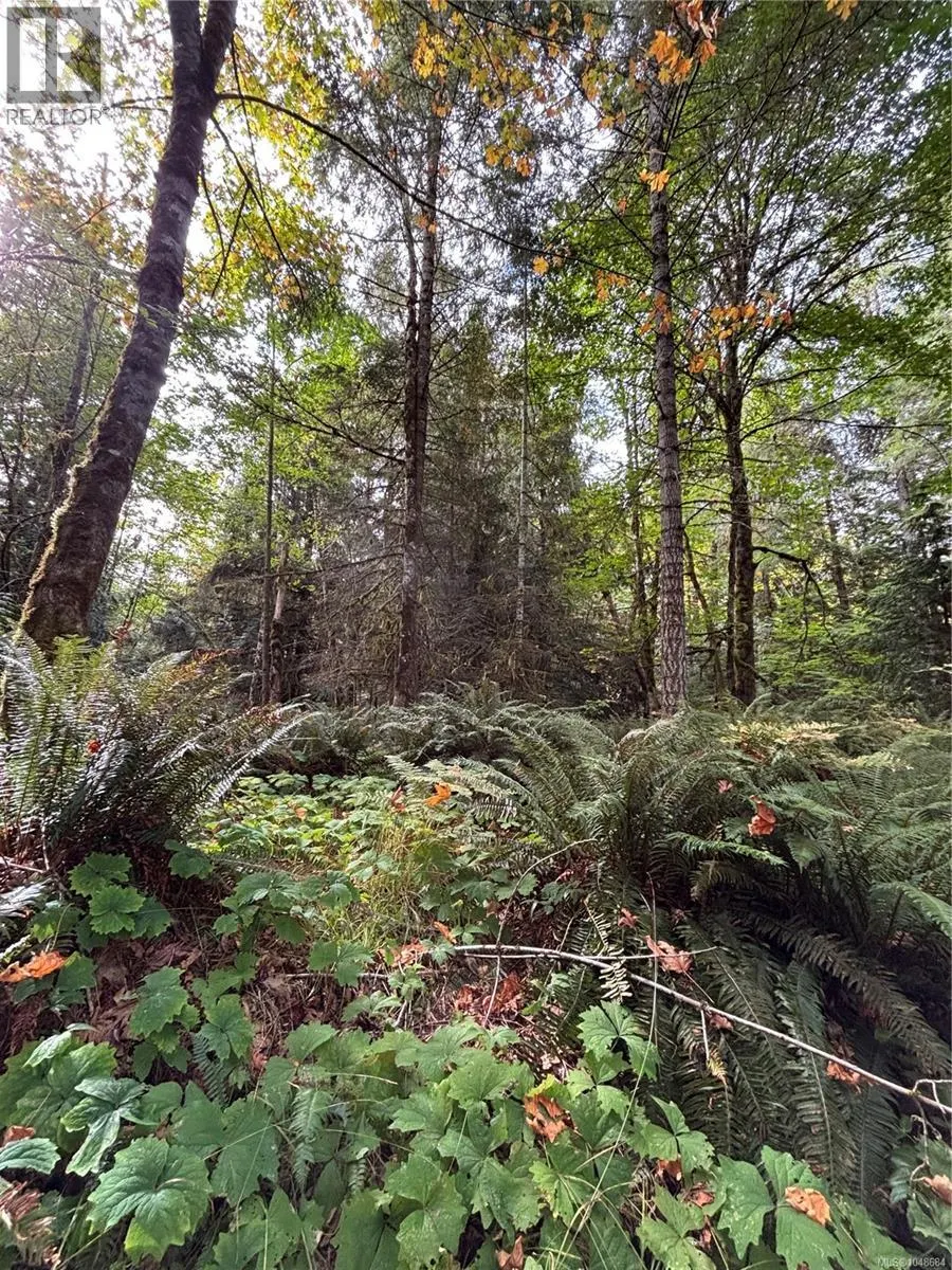 lot 23 Pratt Rd