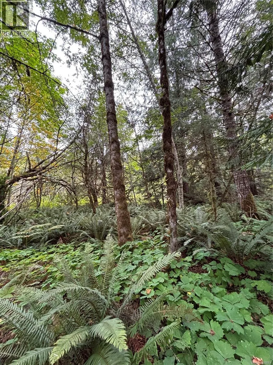 lot 23 Pratt Rd
