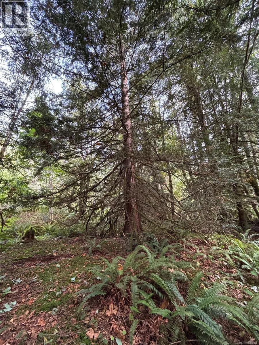 lot 23 Pratt Rd