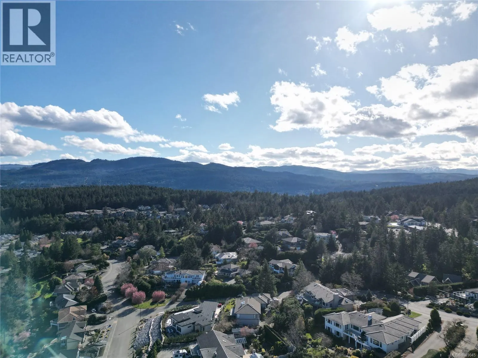 3554 Collingwood Dr
