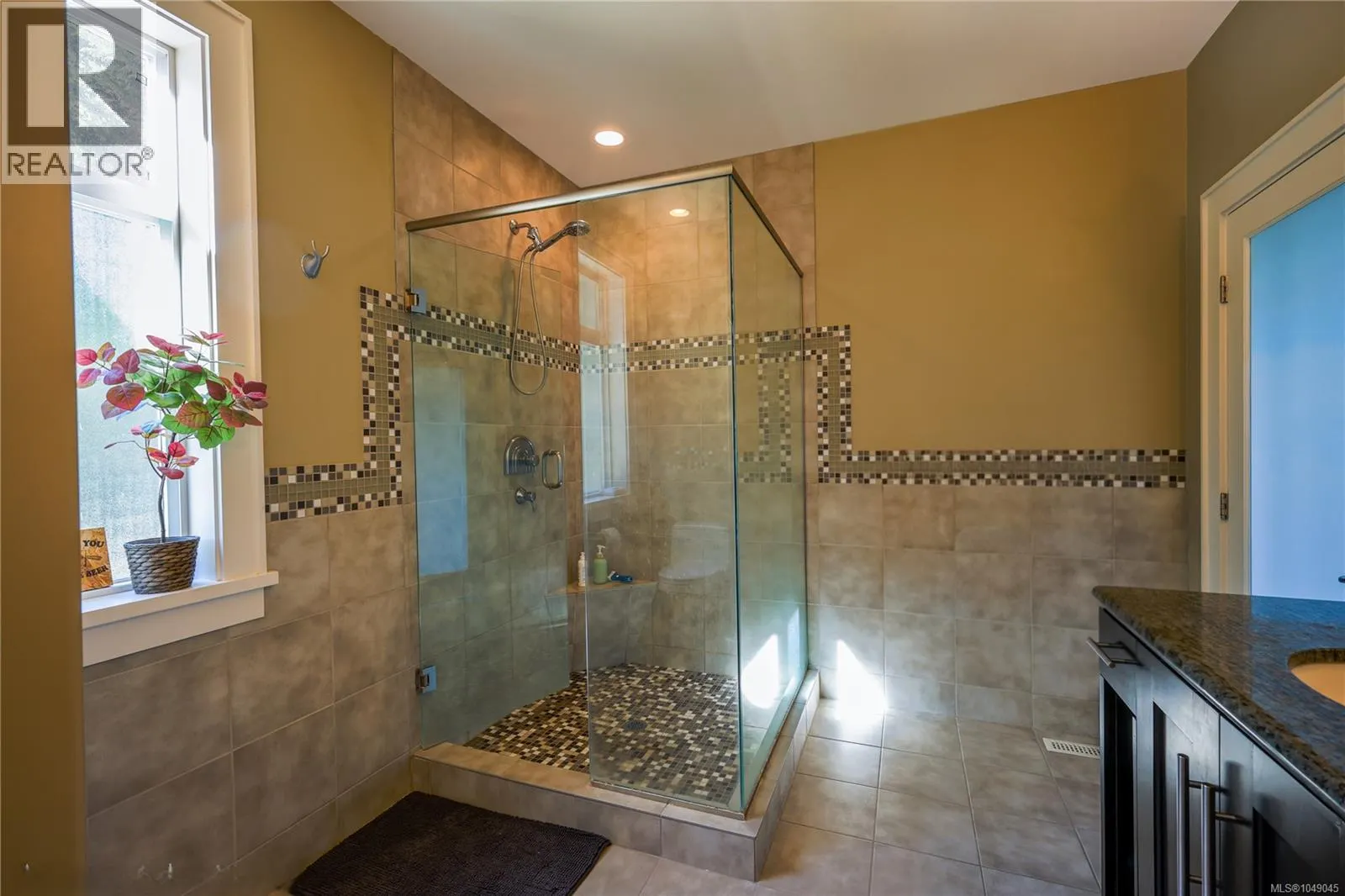 3554 Collingwood Dr