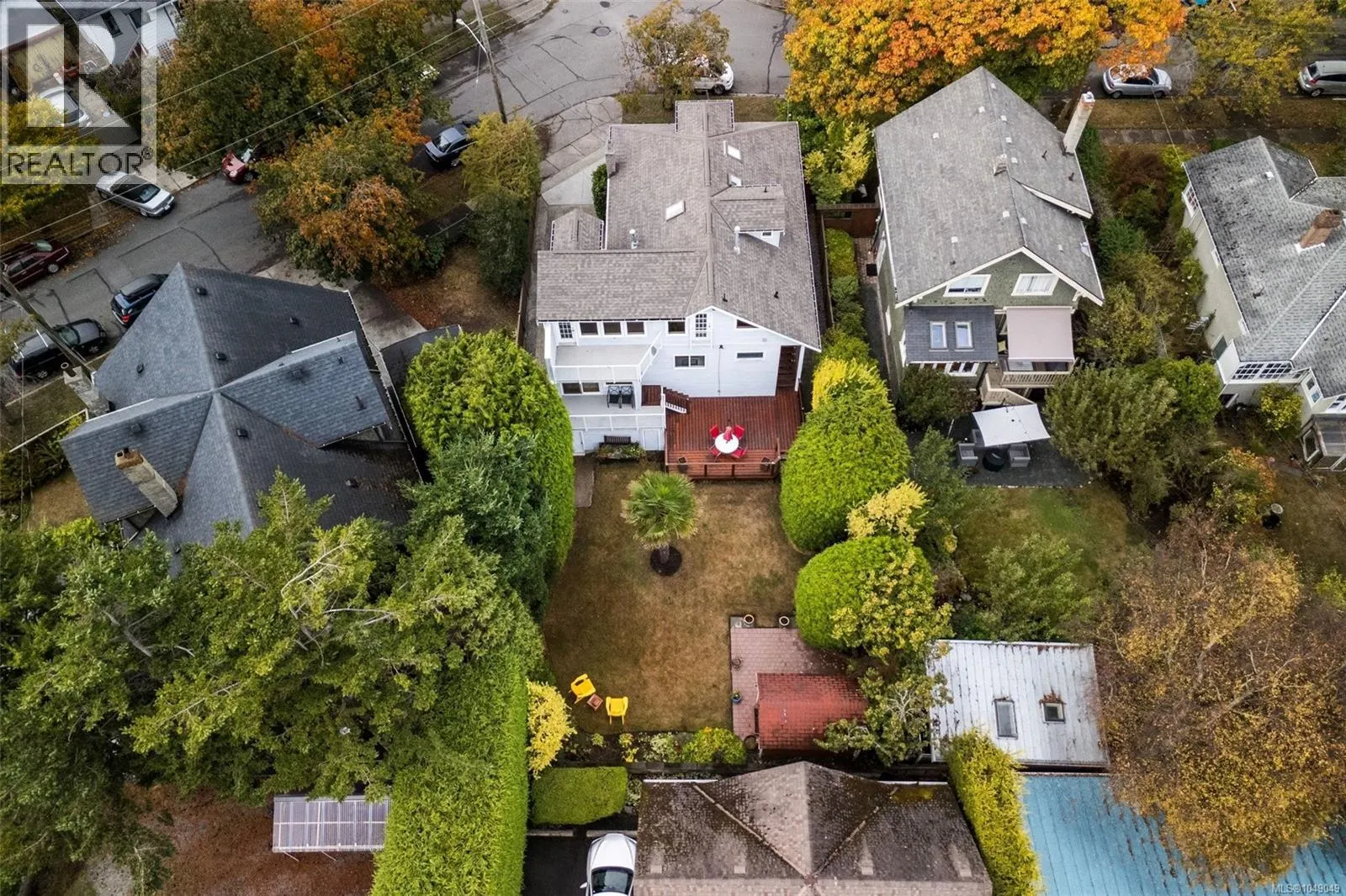 103 Bushby St