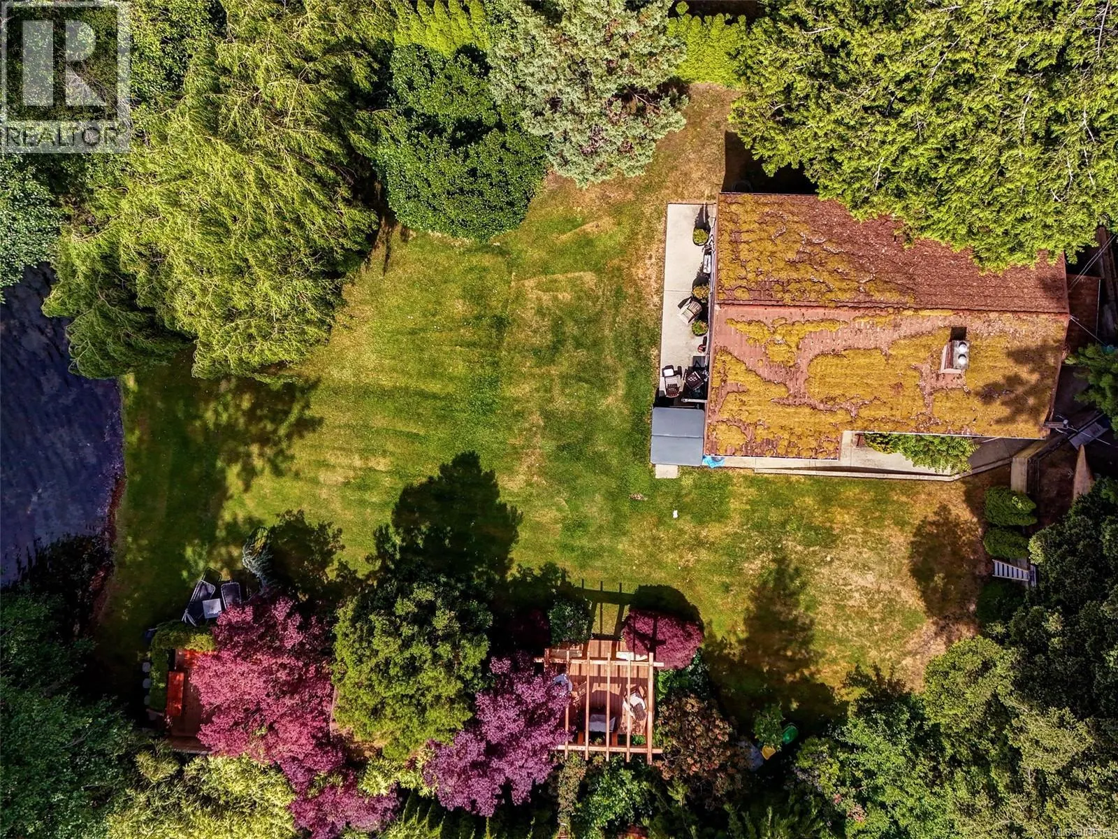 1167 Goldstream Ave