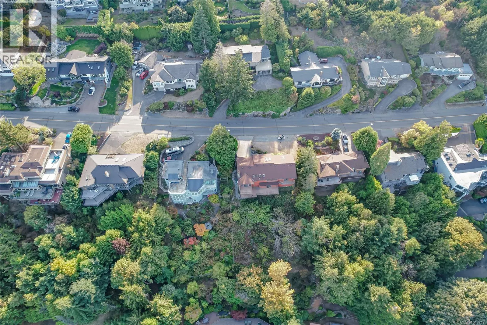 8839 Forest Park Dr