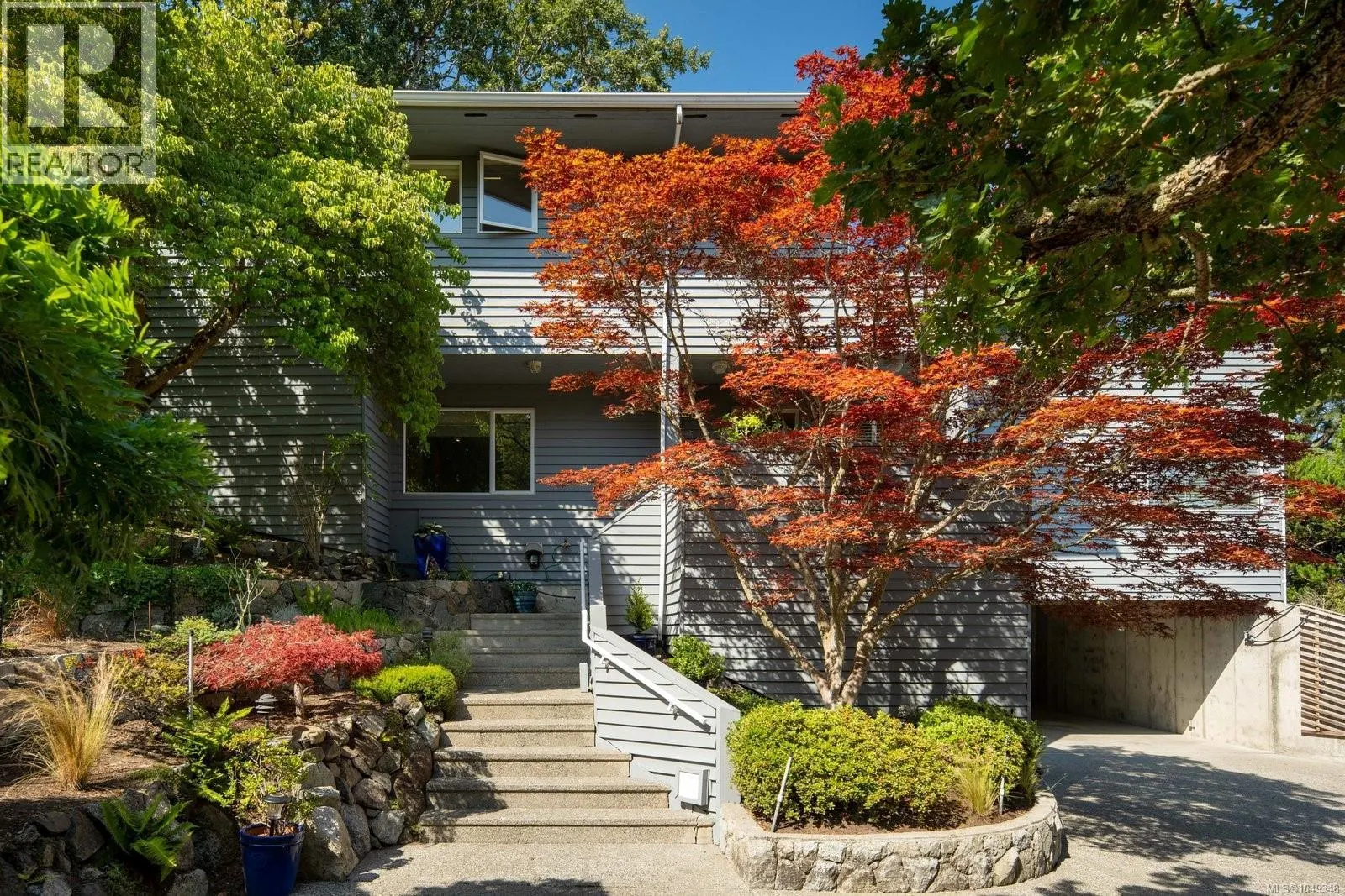 3656 Cadboro Bay Rd