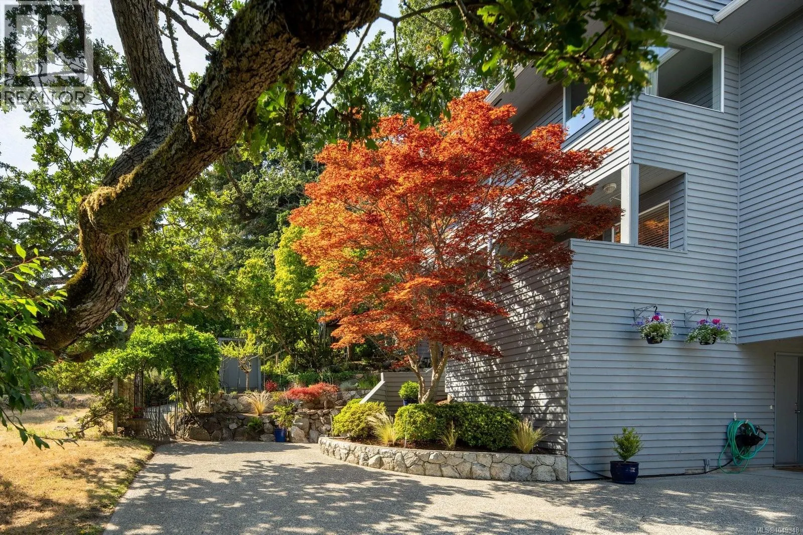 3656 Cadboro Bay Rd