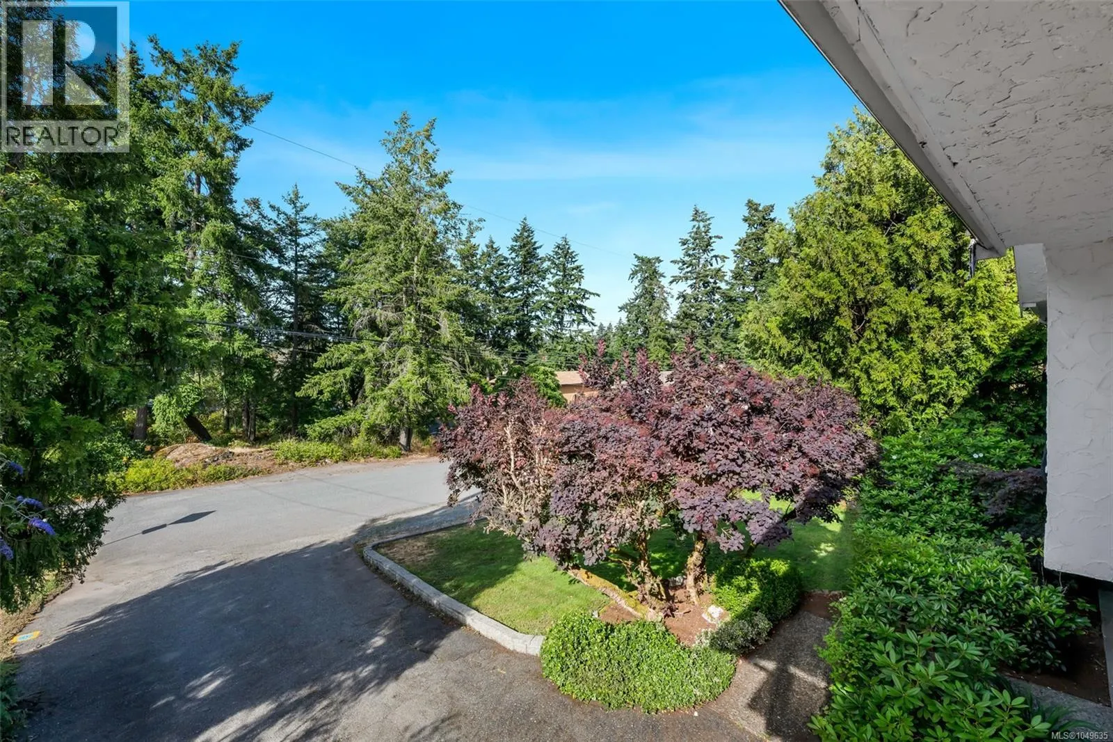 485 Carson Rd