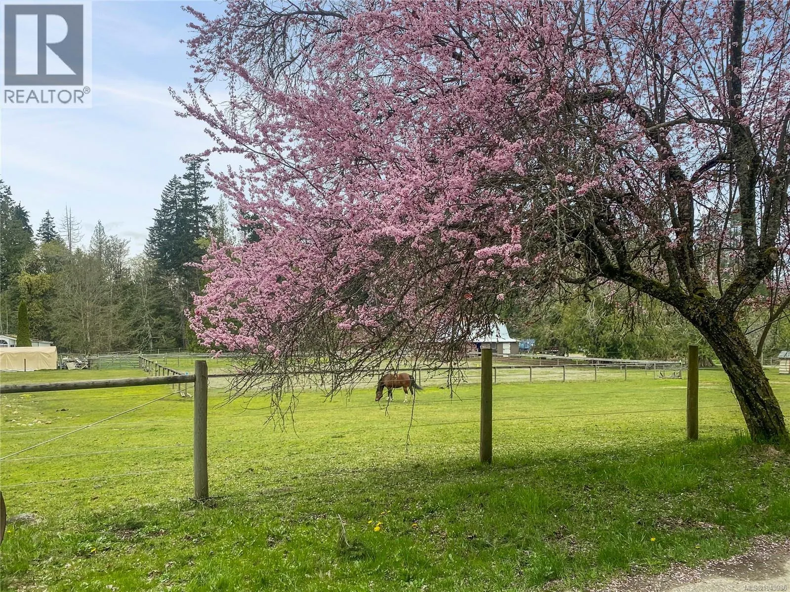 899,875 Andreef Rd