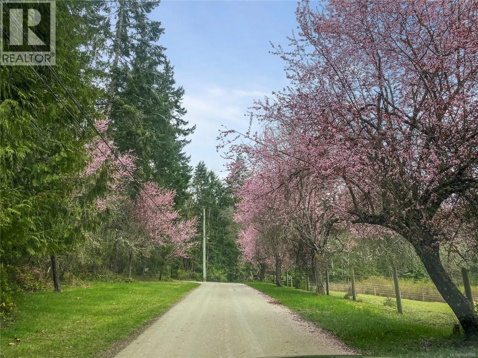 899,875 Andreef Rd