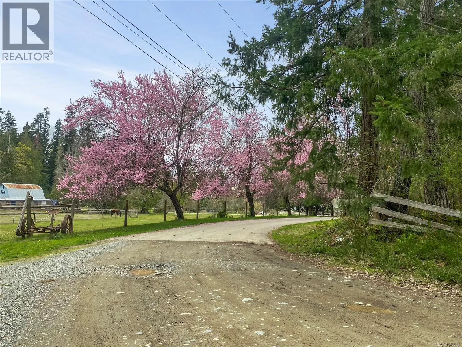 899,875 Andreef Rd