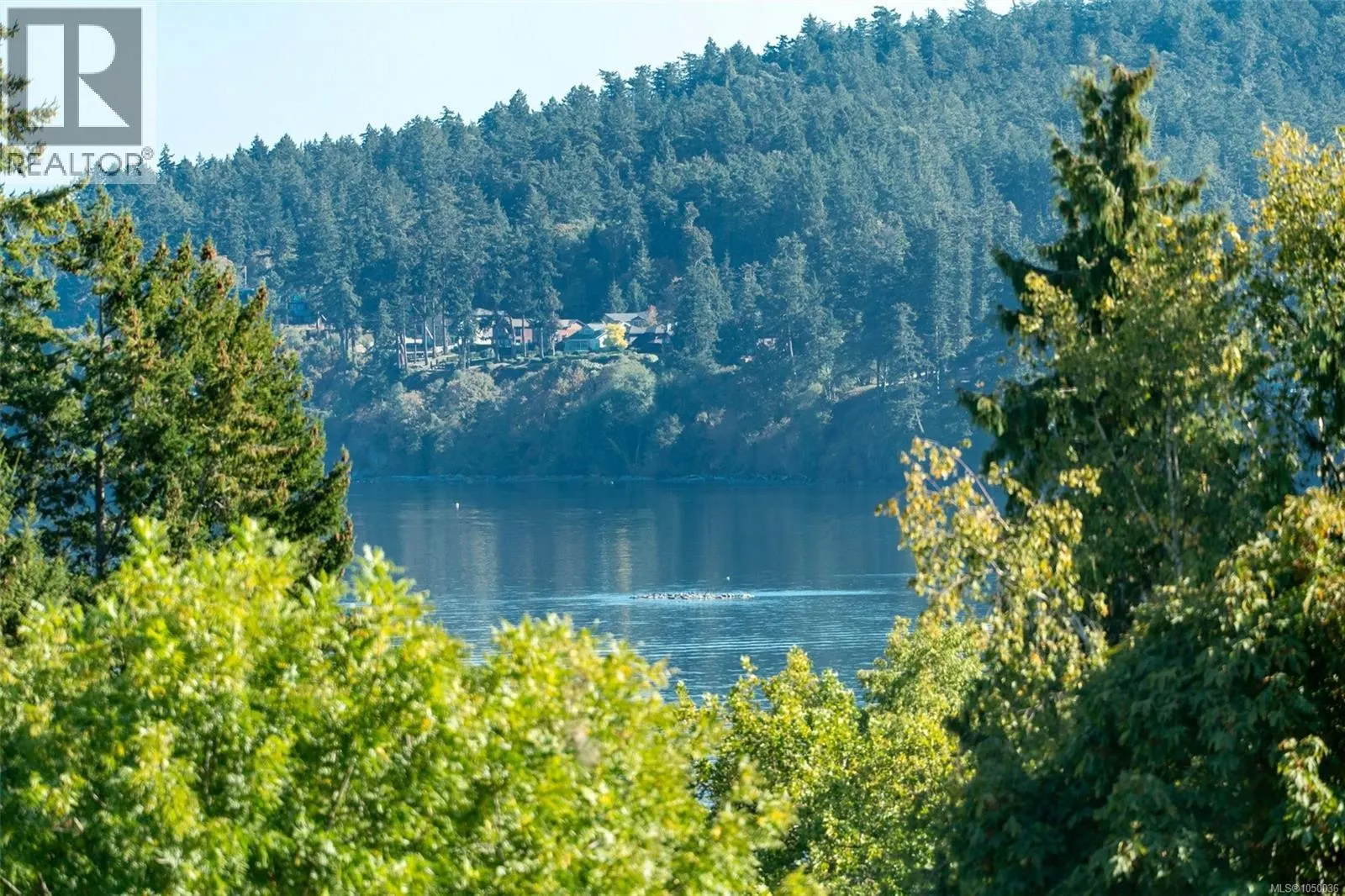 PH 402 5229 Cordova Bay Rd