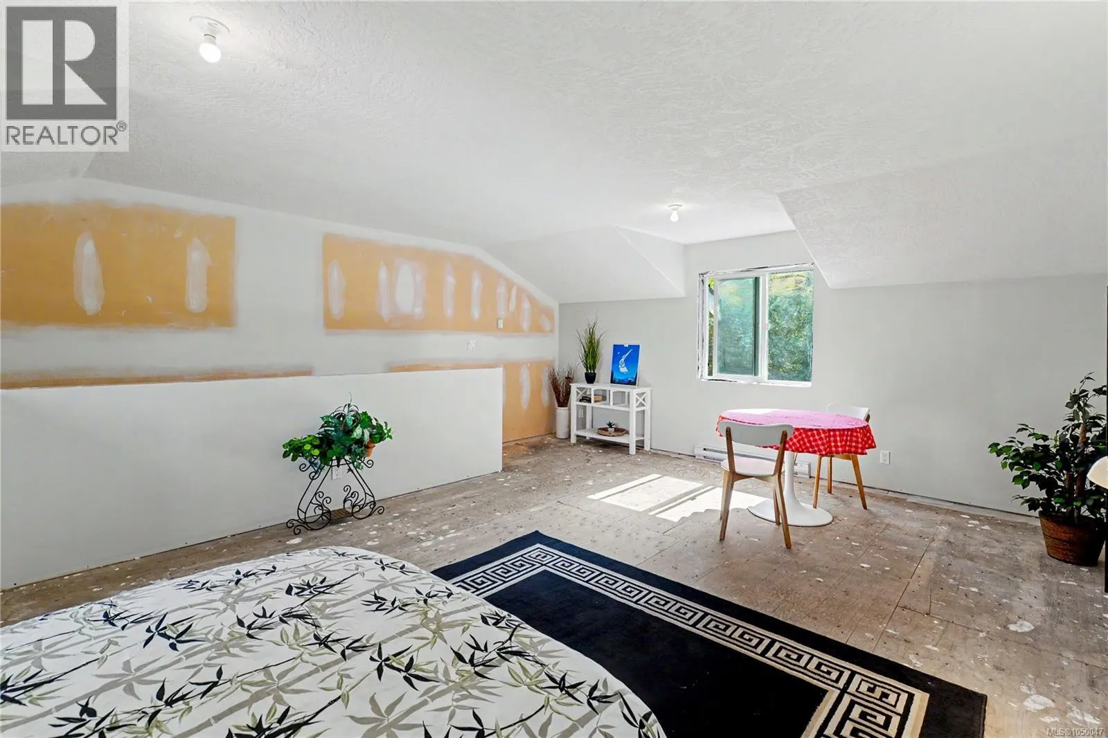 2835 Olympic Rd