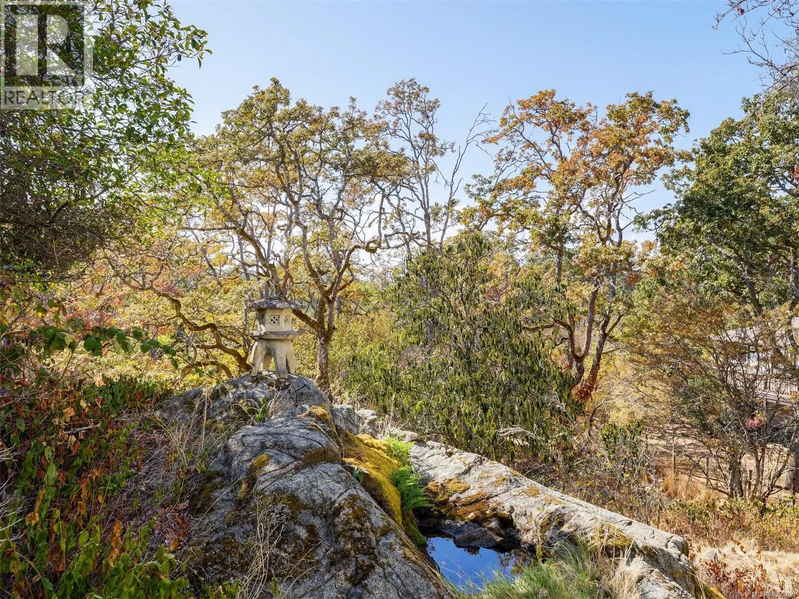 312 3962 Cedar Hill Rd