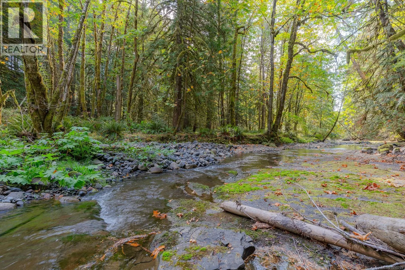 5625 Willow Rd