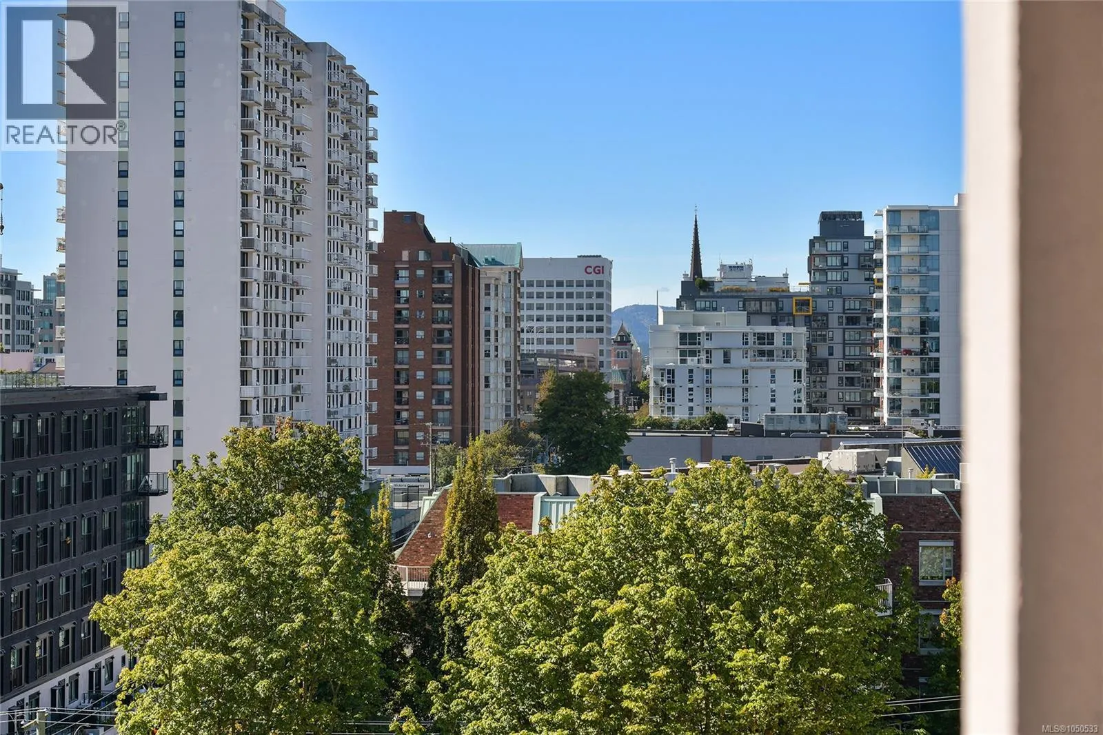 801 1020 View St