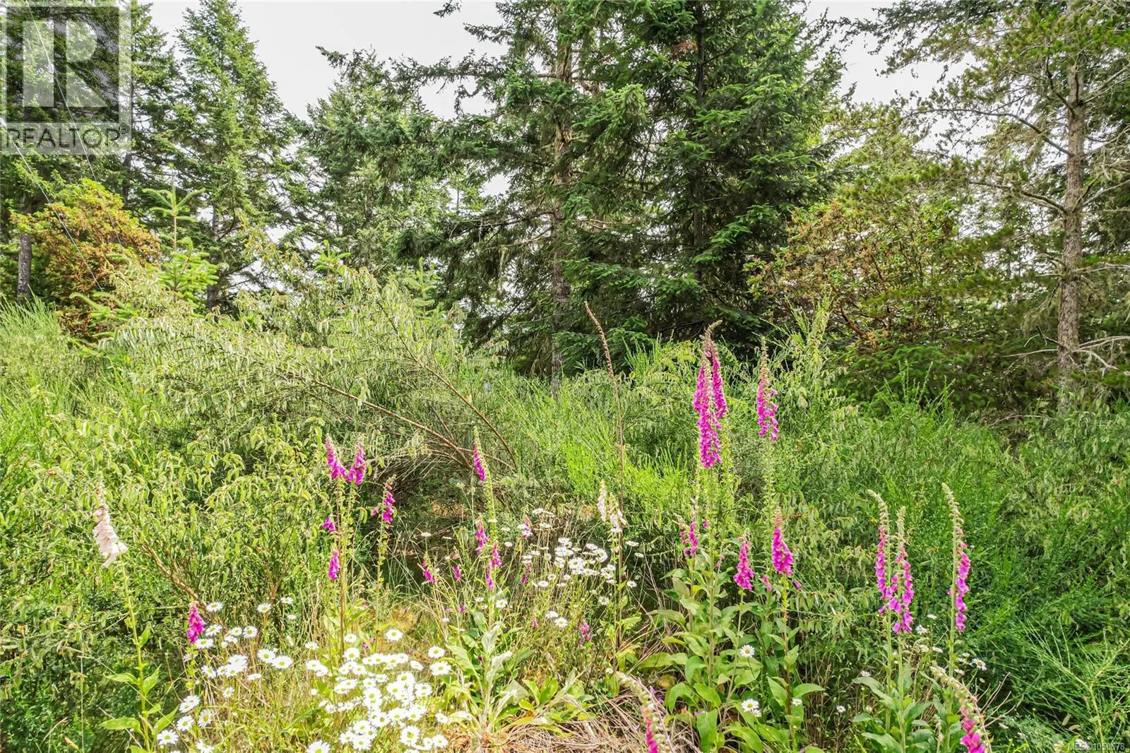 5000 Sooke Hanger Dr