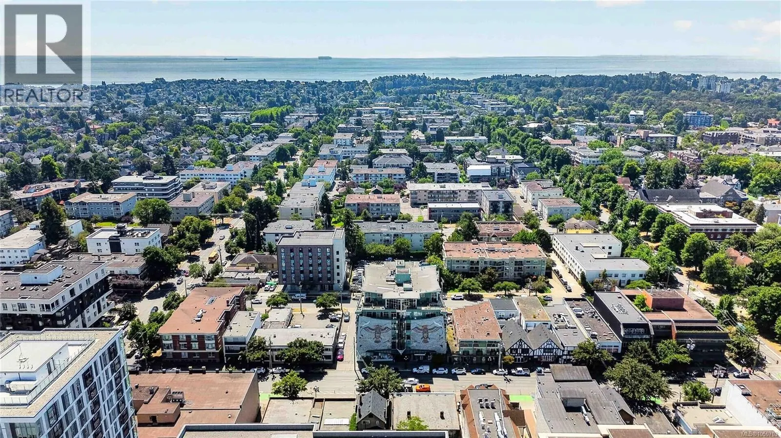 213 1061 Fort St
