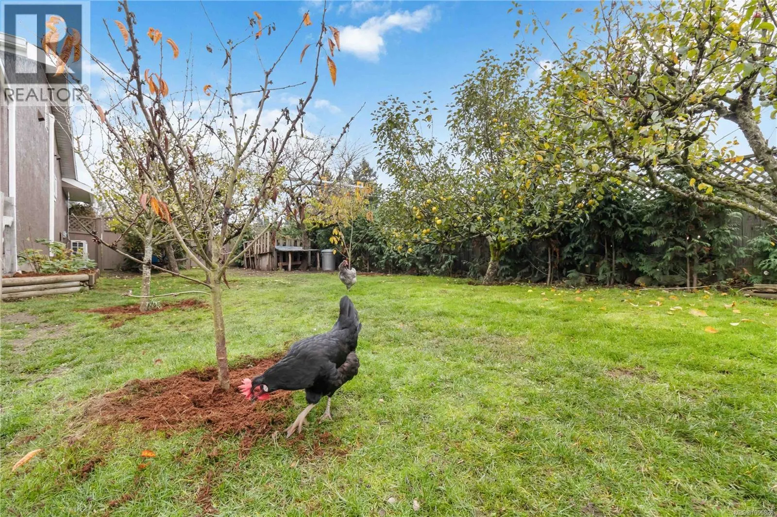 6756 Central Saanich Rd