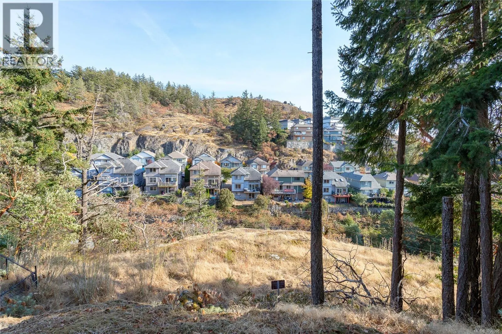 504 Langvista Dr