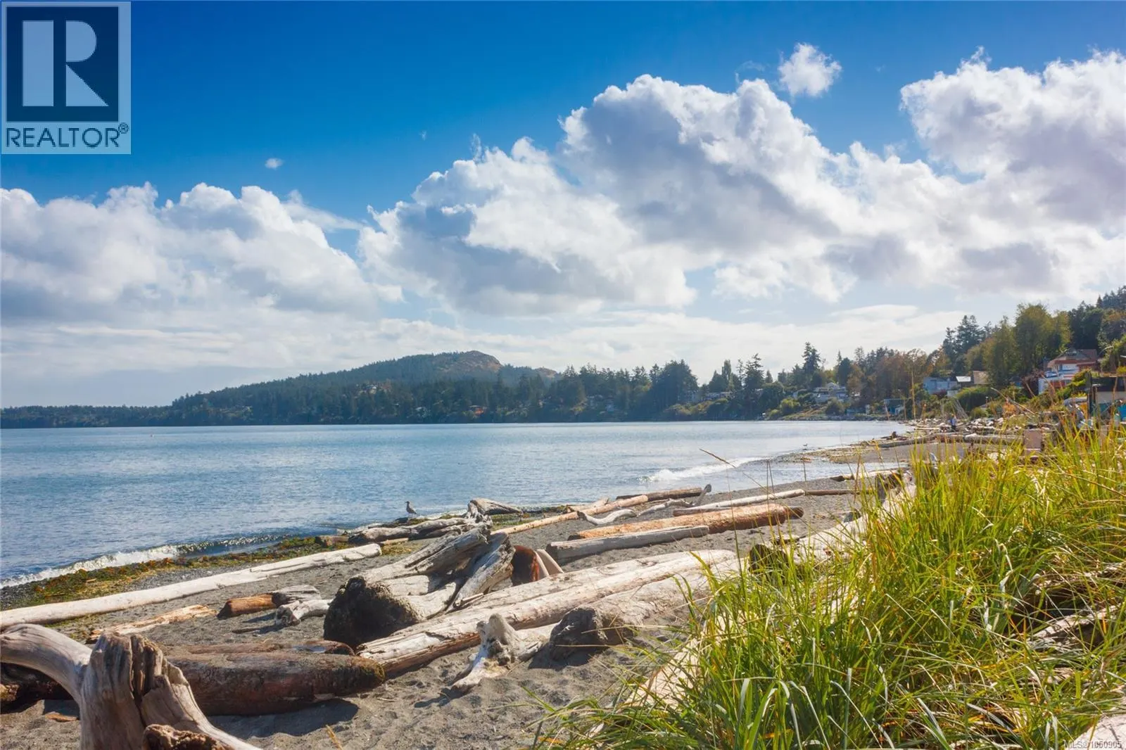 501 5110 Cordova Bay Rd