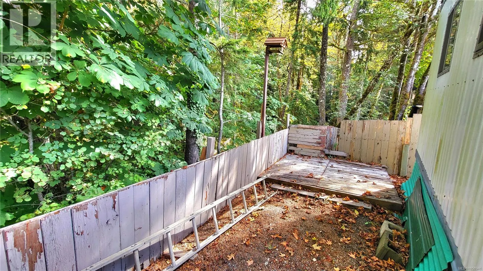 12 1655 Alberni Hwy