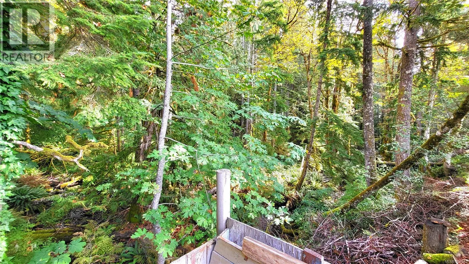 12 1655 Alberni Hwy