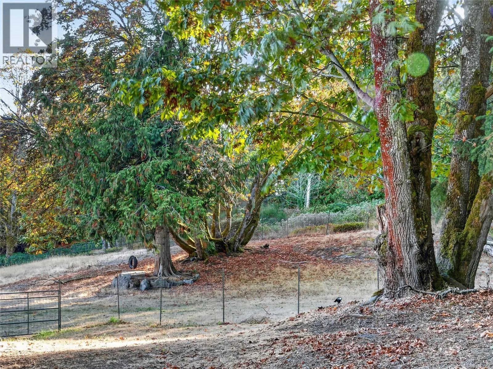 5209 Old West Saanich Rd