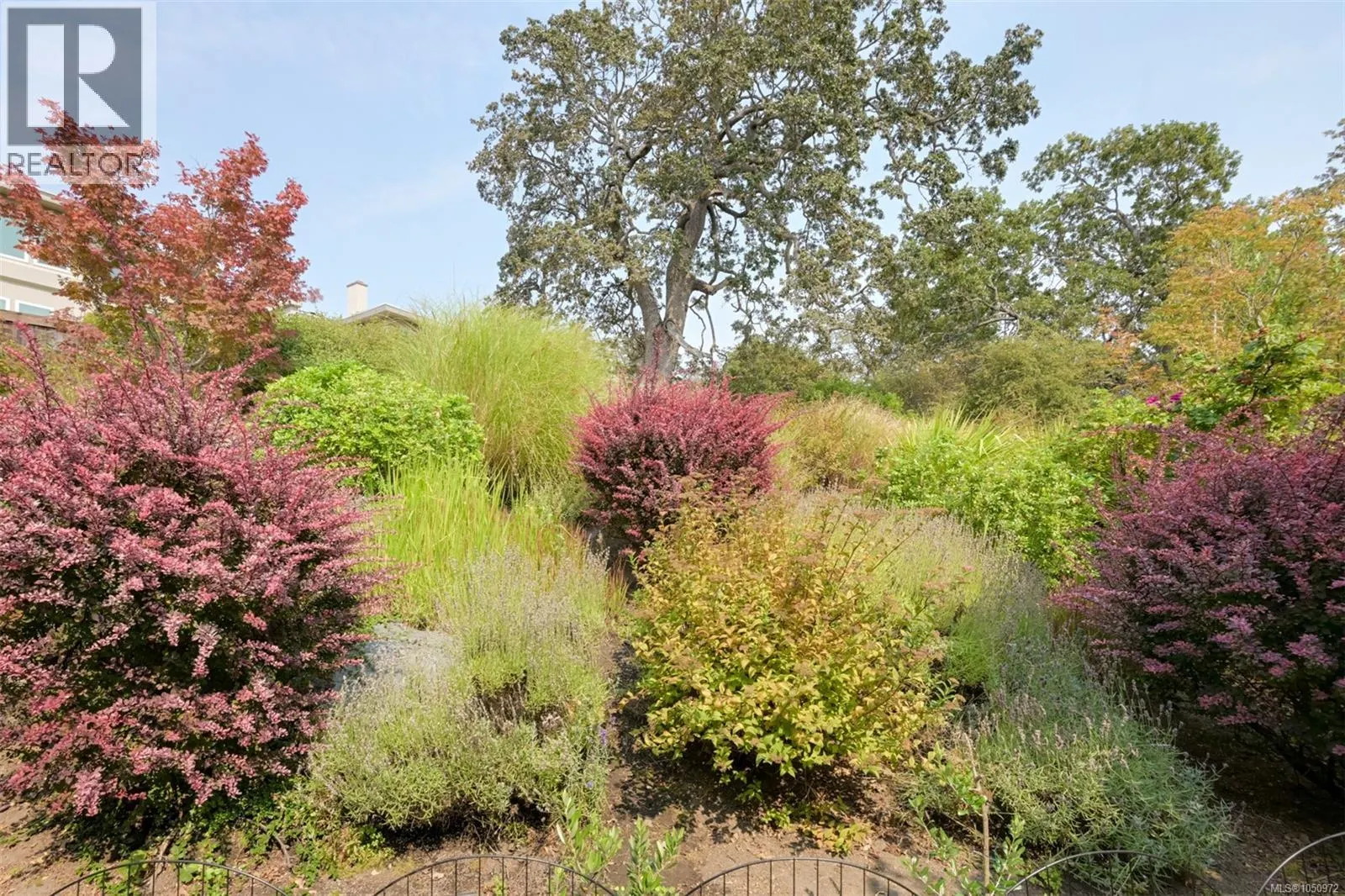802 Rainbow Ridge Lane