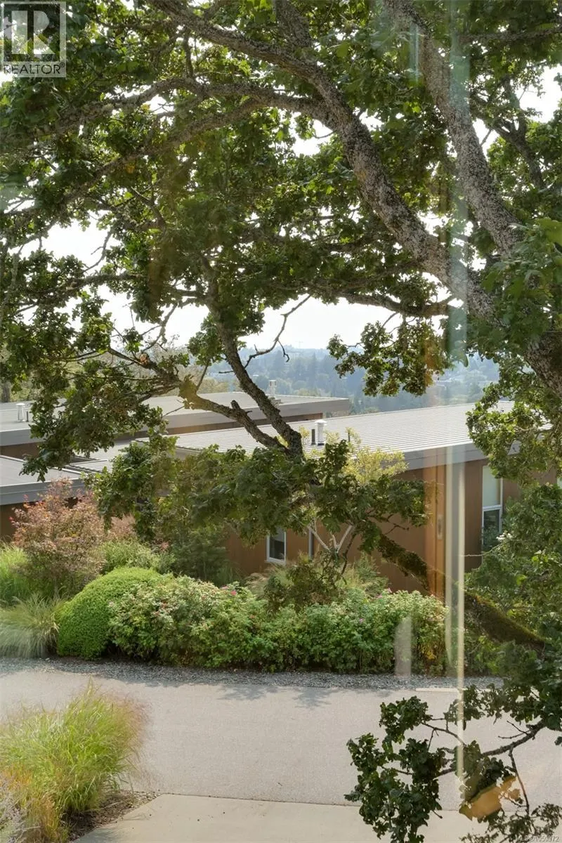 802 Rainbow Ridge Lane