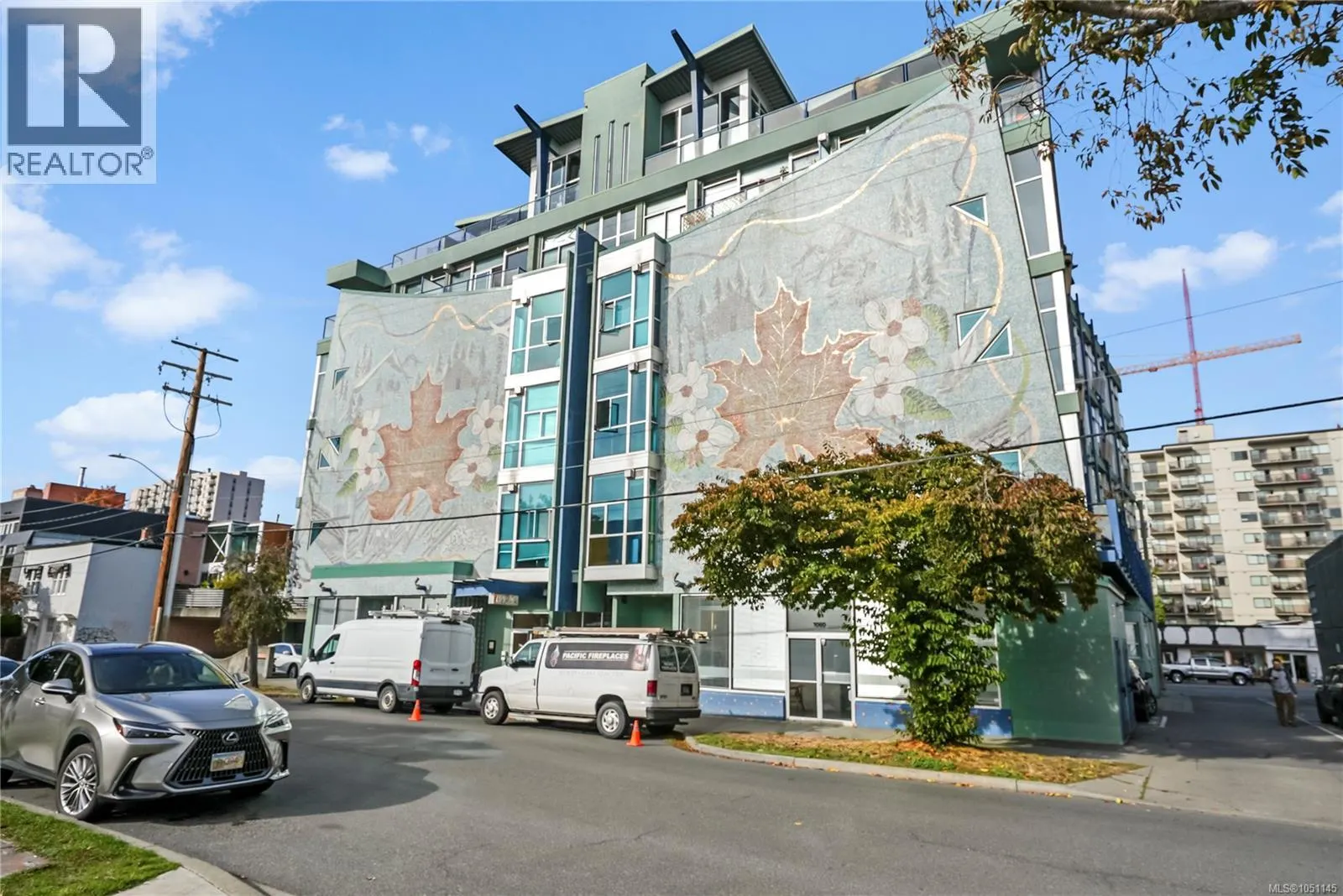 201 1061 Fort St