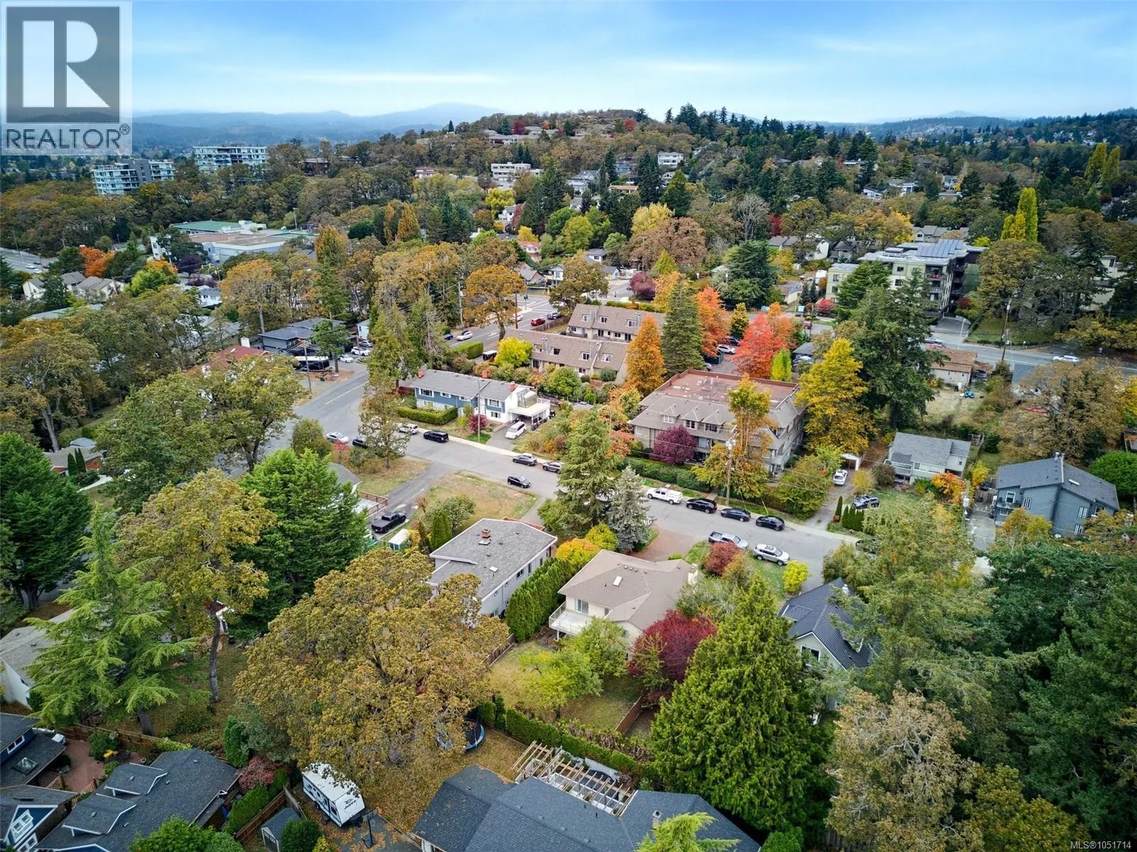 975 Annie St
