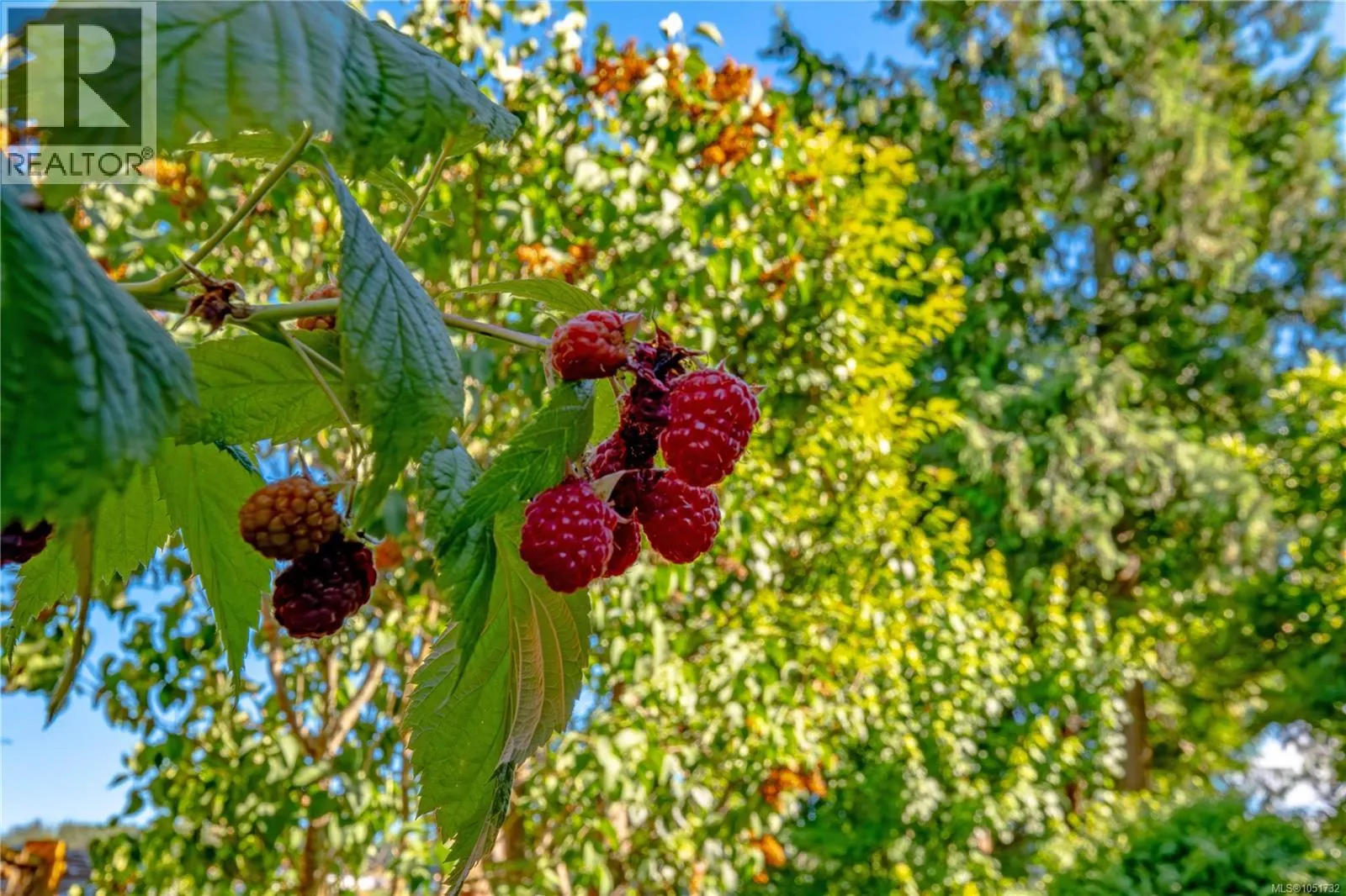 4915 Denford Pl