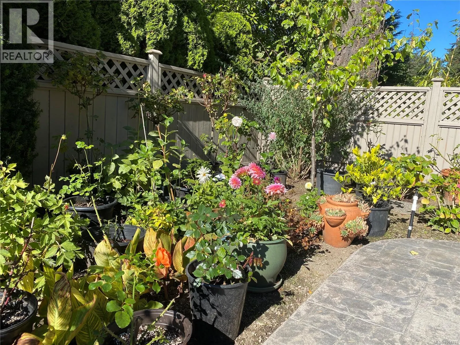906 Cobblestone Lane