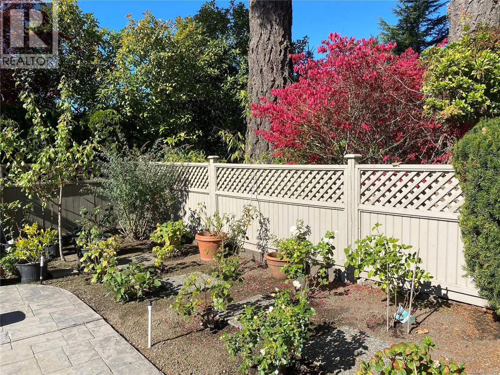 906 Cobblestone Lane