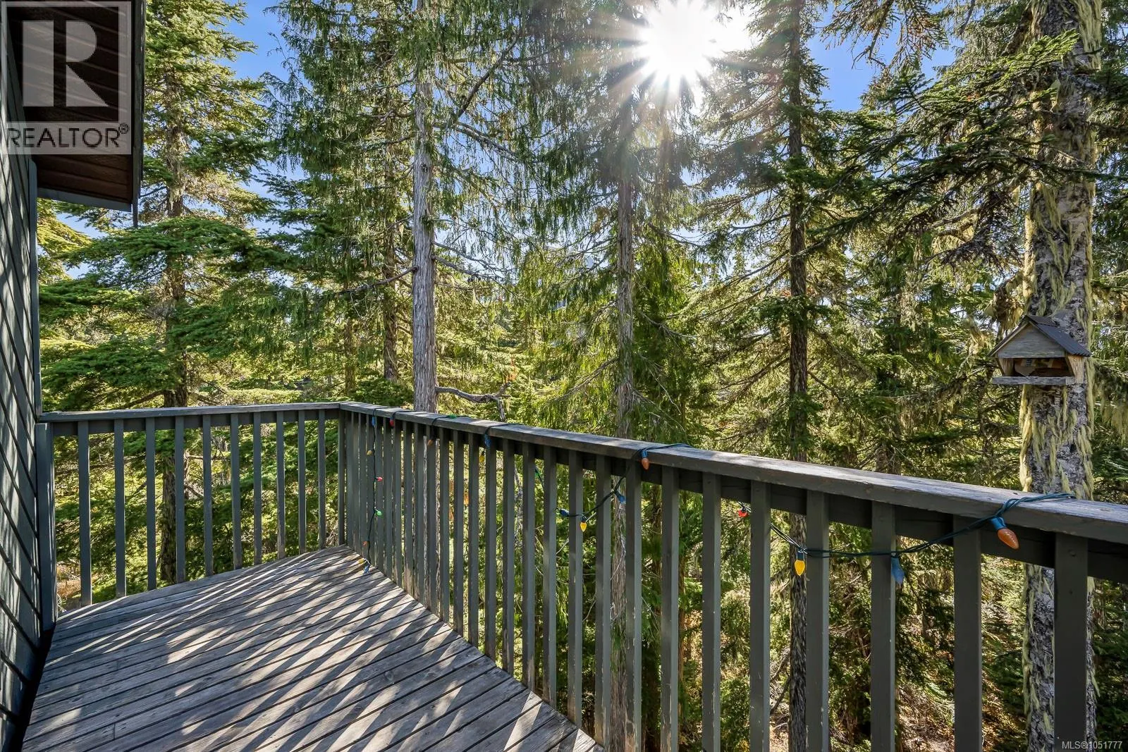 893 Clinton Wood Crt