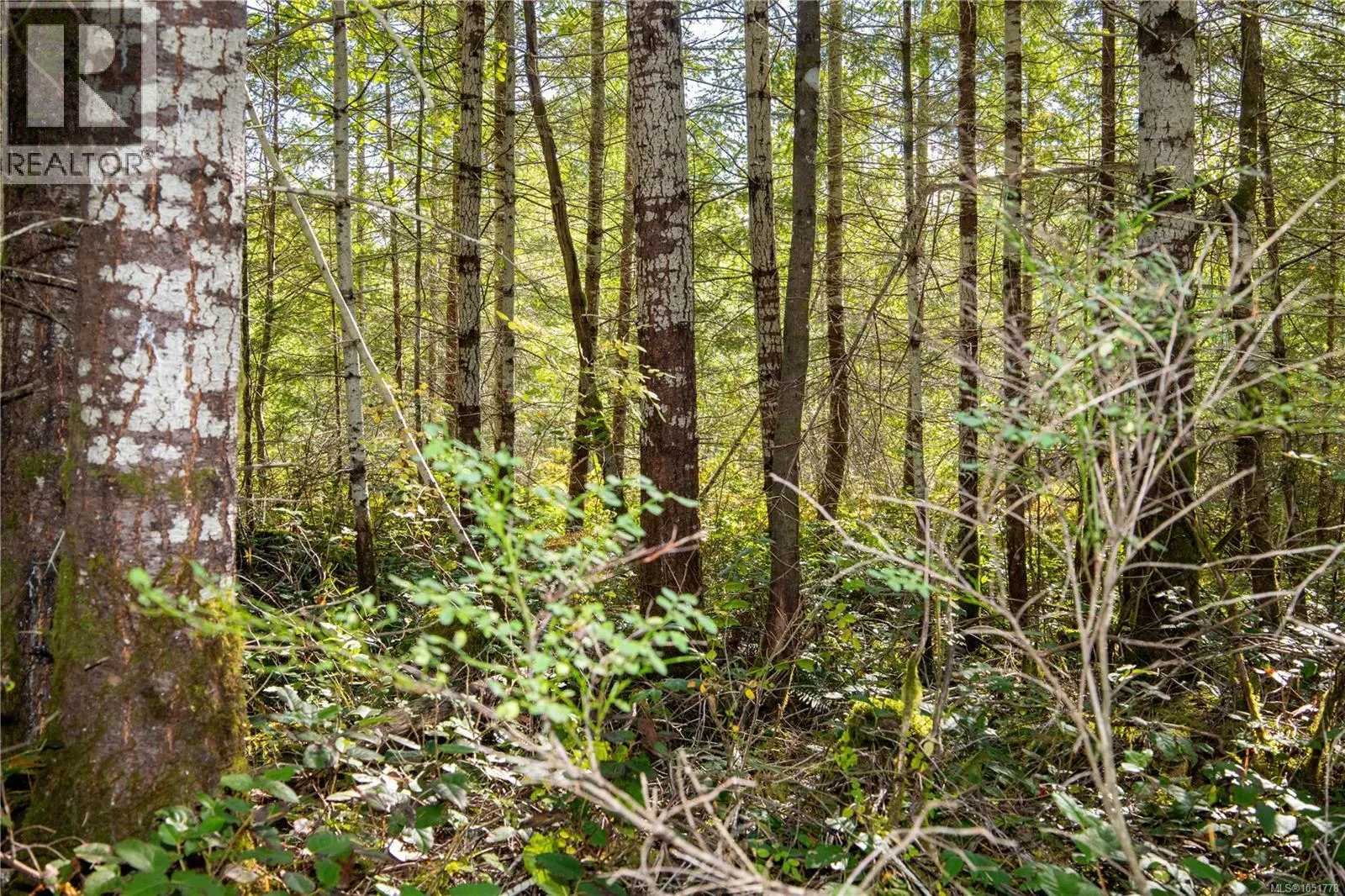 Lot B Chantrelle Way
