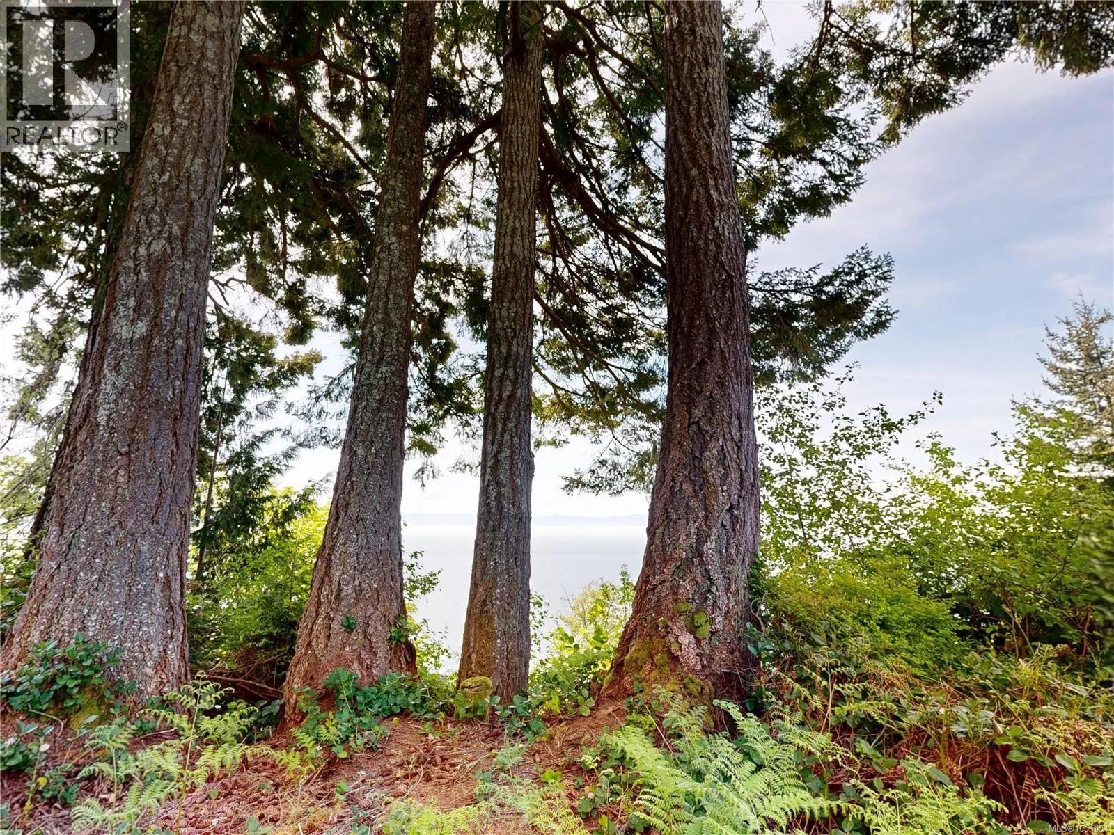 Proposed Lot 2/9333 Invermuir Rd