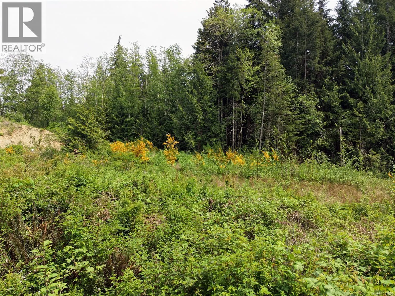 Proposed Lot 2/9333 Invermuir Rd
