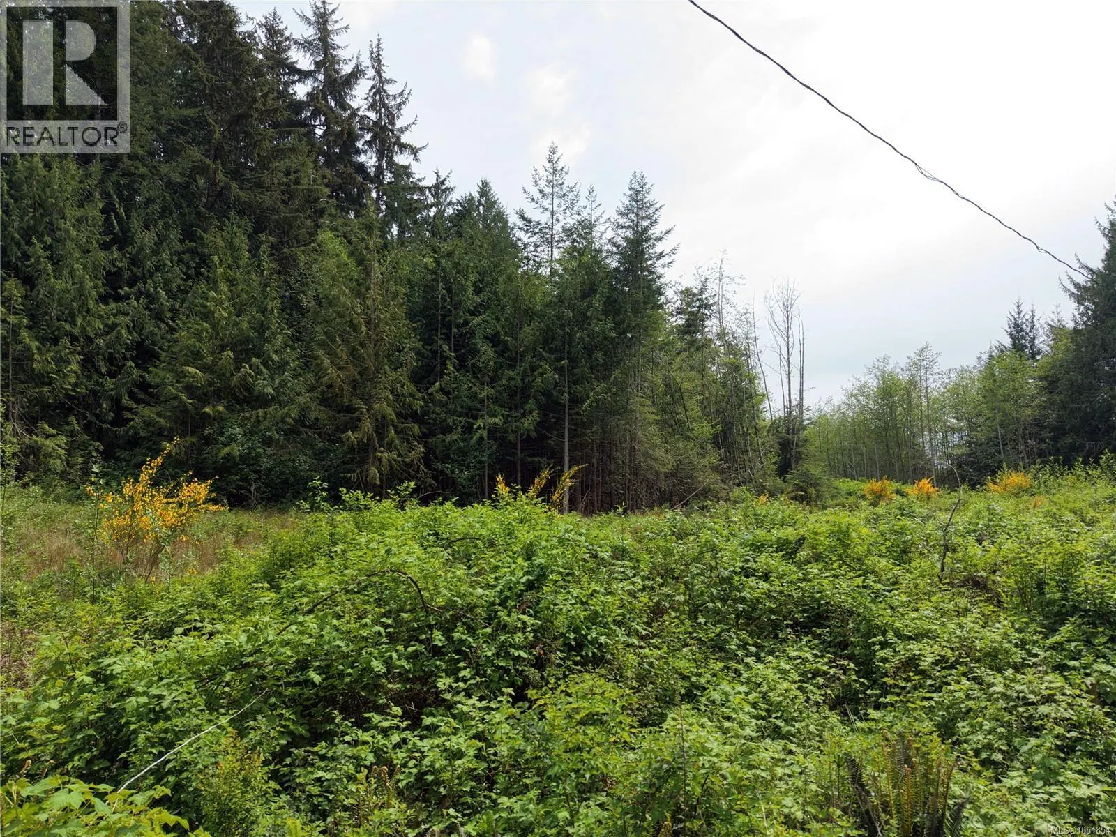 Proposed Lot 2/9333 Invermuir Rd