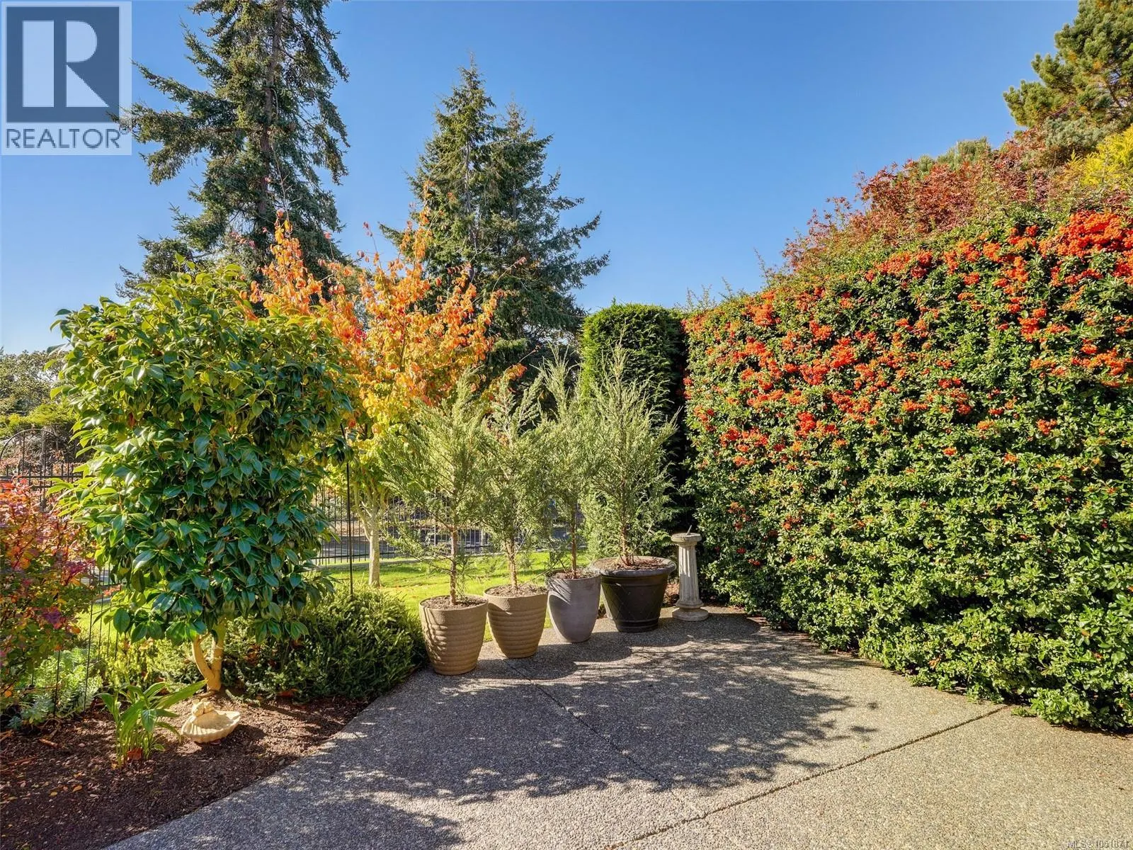 901 2829 Arbutus Rd