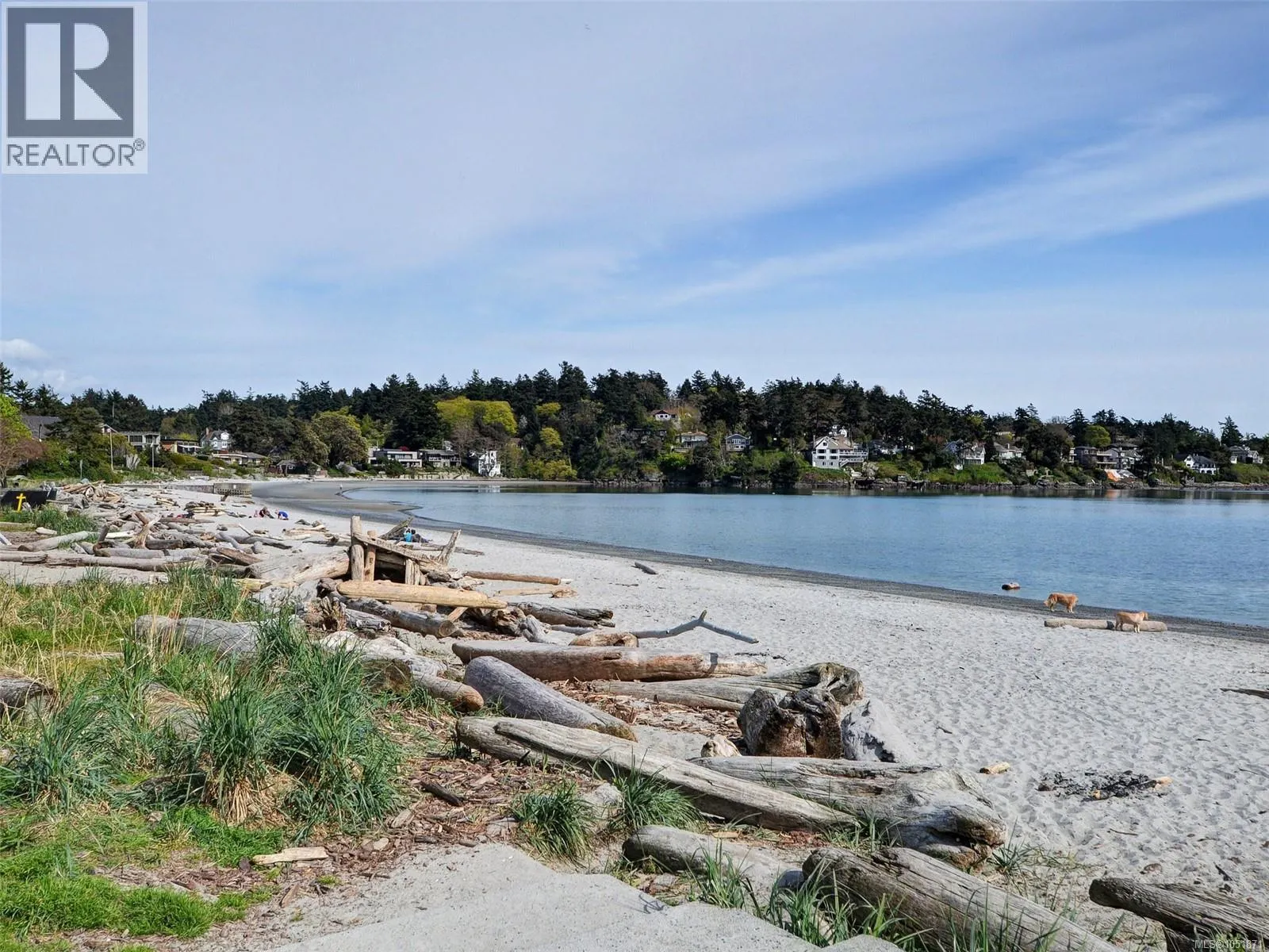901 2829 Arbutus Rd