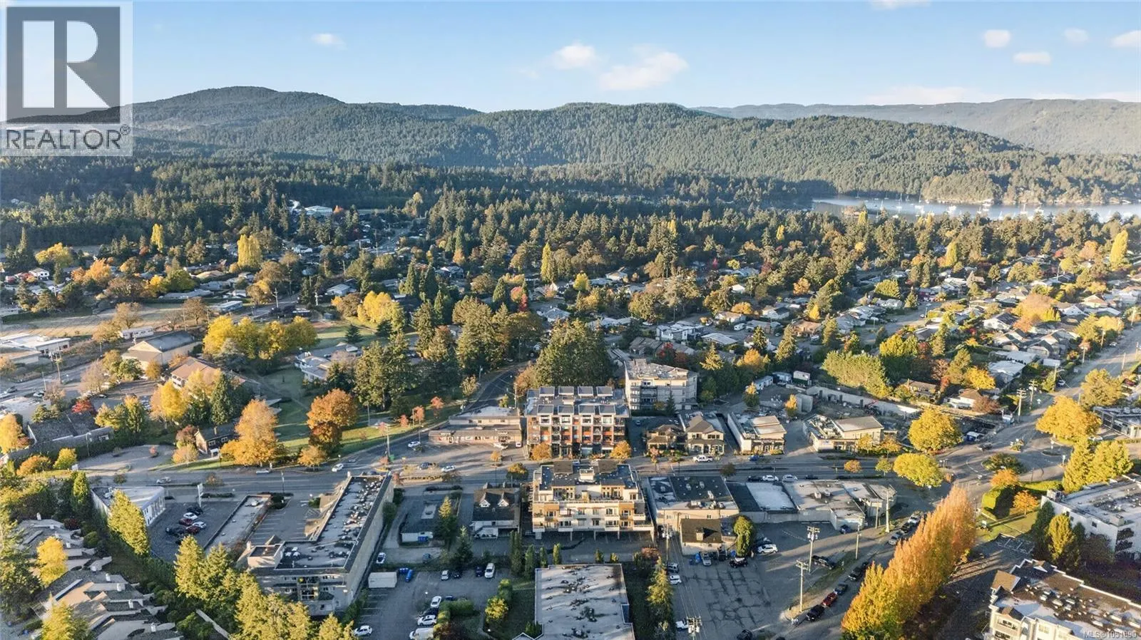 101 7162 West Saanich Rd