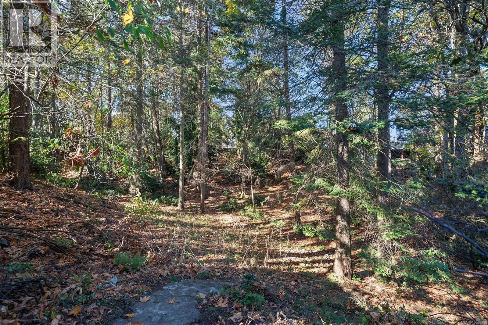 2104 Wenman Dr