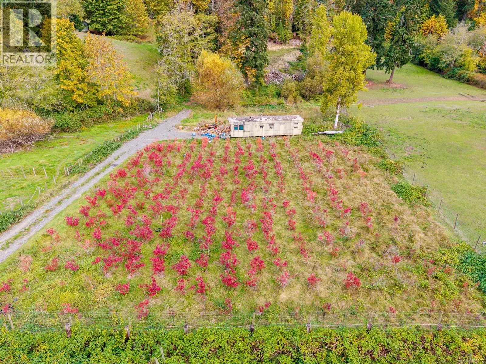6211 Ferguson Rd