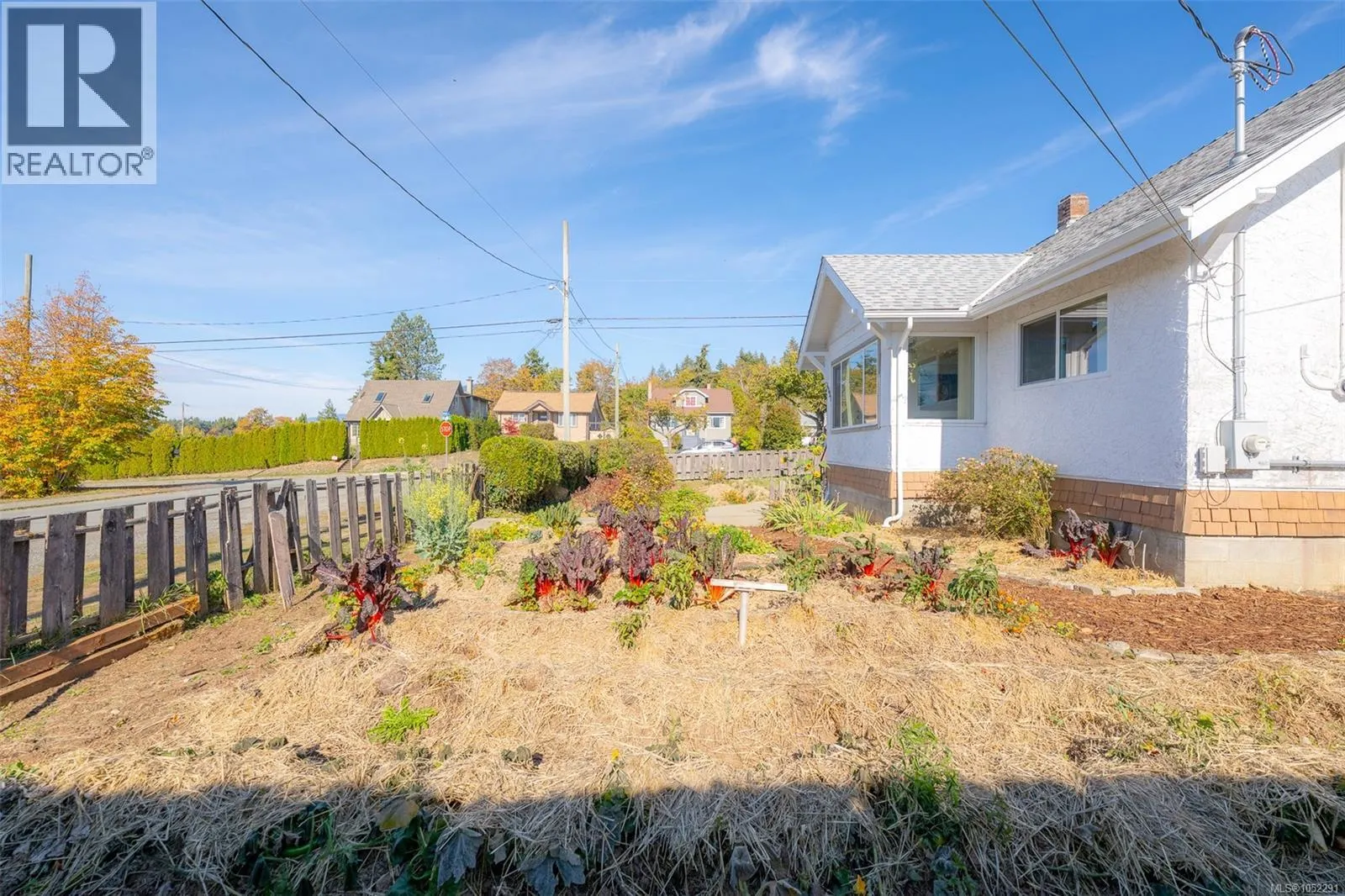 4891 David St